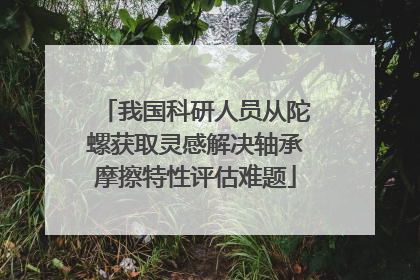 我国科研人员从陀螺获取灵感解决轴承摩擦特性评估难题