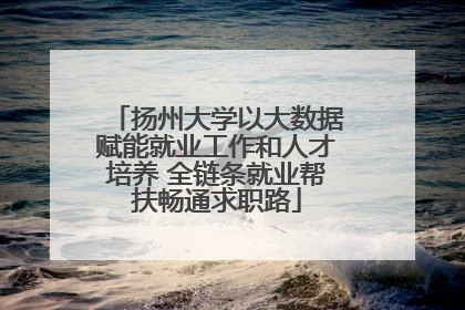 扬州大学以大数据赋能就业工作和人才培养 全链条就业帮扶畅通求职路