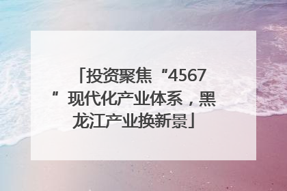 投资聚焦“4567”现代化产业体系，黑龙江产业换新景