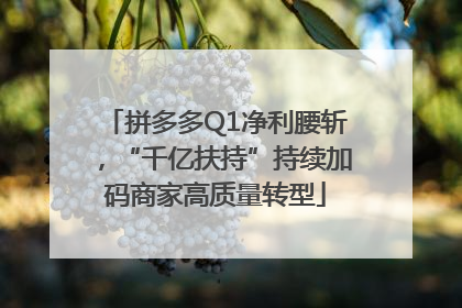 拼多多Q1净利腰斩，“千亿扶持”持续加码商家高质量转型