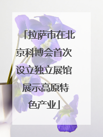 拉萨市在北京科博会首次设立独立展馆 展示高原特色产业
