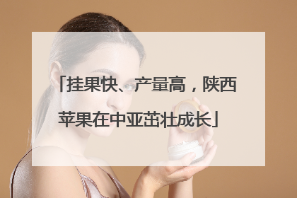 挂果快、产量高，陕西苹果在中亚茁壮成长