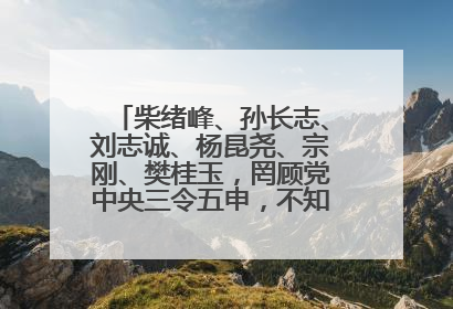柴绪峰、孙长志、刘志诚、杨昆尧、宗刚、樊桂玉，罔顾党中央三令五申，不知敬畏、我行我素、肆意妄为！