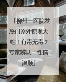 柳州一医院发热门诊外惊现大蛇！有毒无毒？专家辨认：性情温顺