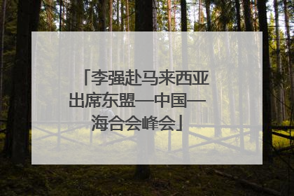 李强赴马来西亚出席东盟—中国—海合会峰会