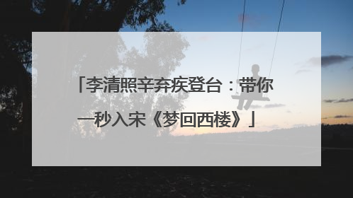 李清照辛弃疾登台：带你一秒入宋《梦回西楼》