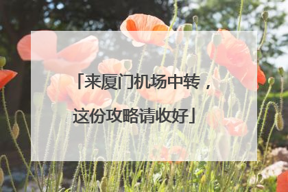 来厦门机场中转，这份攻略请收好