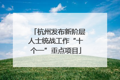 杭州发布新阶层人士统战工作“十个一”重点项目