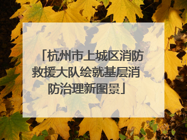 杭州市上城区消防救援大队绘就基层消防治理新图景