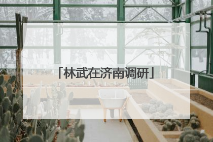 林武在济南调研