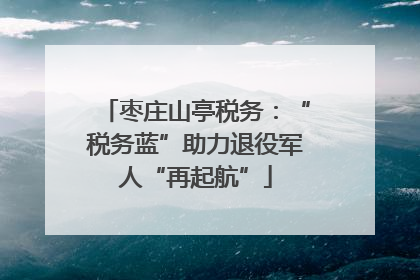 枣庄山亭税务：“税务蓝”助力退役军人“再起航”