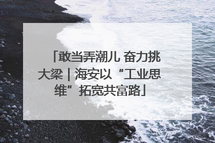 敢当弄潮儿 奋力挑大梁｜海安以“工业思维”拓宽共富路