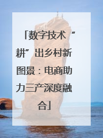数字技术“耕”出乡村新图景：电商助力三产深度融合