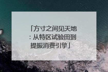 方寸之间见天地：从特区试验田到提振消费引擎