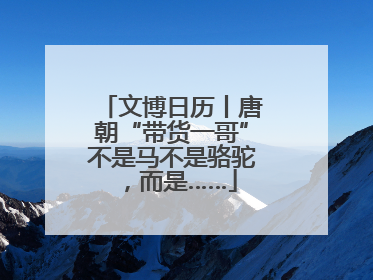 文博日历丨唐朝“带货一哥”不是马不是骆驼，而是……