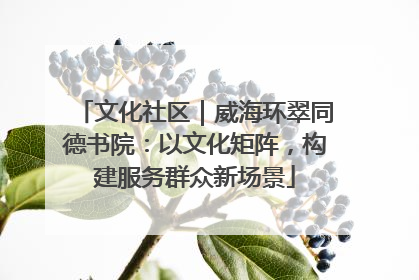 文化社区｜威海环翠同德书院：以文化矩阵，构建服务群众新场景