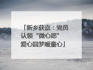 新乡获嘉：党员认领“微心愿” 爱心圆梦暖童心