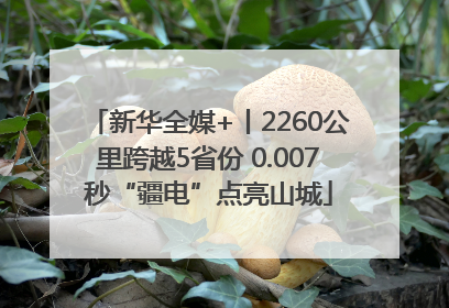 新华全媒+丨2260公里跨越5省份 0.007秒“疆电”点亮山城