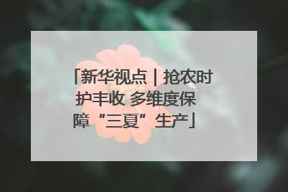 新华视点｜抢农时 护丰收 多维度保障“三夏”生产