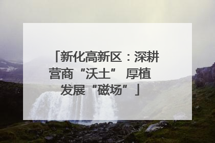 新化高新区：深耕营商“沃土” 厚植发展“磁场”