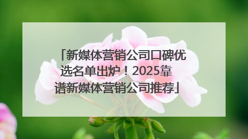 新媒体营销公司口碑优选名单出炉！2025靠谱新媒体营销公司推荐