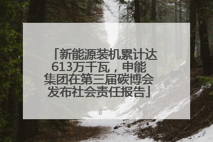 新能源装机累计达613万千瓦，申能集团在第三届碳博会发布社会责任报告