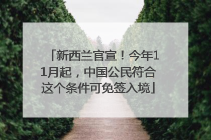新西兰官宣！今年11月起，中国公民符合这个条件可免签入境