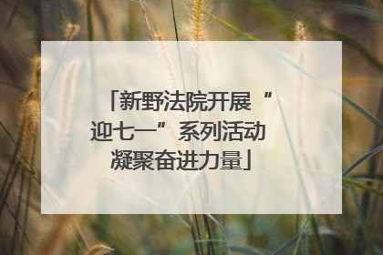 新野法院开展“迎七一”系列活动 凝聚奋进力量