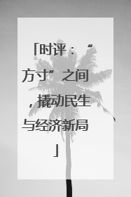 时评：“方寸”之间，撬动民生与经济新局
