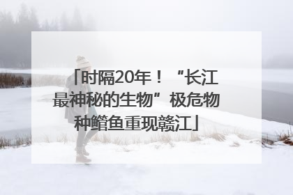 时隔20年！“长江最神秘的生物”极危物种鳤鱼重现赣江