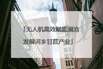 无人机高效赋能澜沧发展河乡甘蔗产业