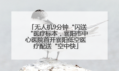 无人机9分钟“闪送“医疗标本，襄阳市中心医院首开襄阳低空医疗配送“空中快