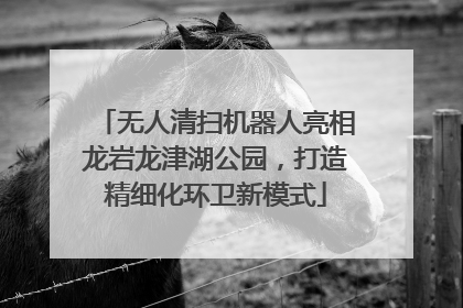 无人清扫机器人亮相龙岩龙津湖公园，打造精细化环卫新模式