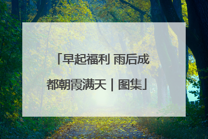 早起福利 雨后成都朝霞满天｜图集