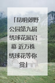 昆明郊野公园第九届绣球花展启幕 近万株绣球花等你赏