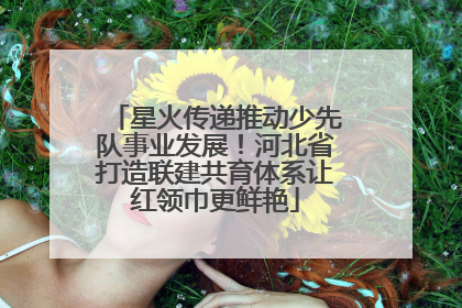 星火传递推动少先队事业发展！河北省打造联建共育体系让红领巾更鲜艳