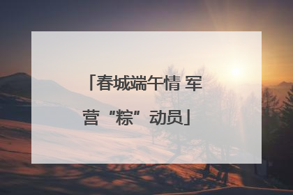 春城端午情 军营“粽”动员