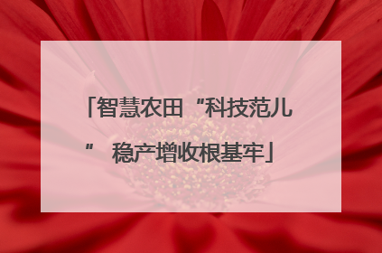 智慧农田“科技范儿” 稳产增收根基牢