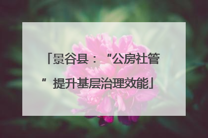 景谷县：“公房社管”提升基层治理效能