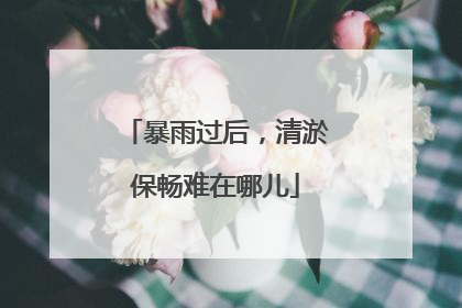 暴雨过后，清淤保畅难在哪儿