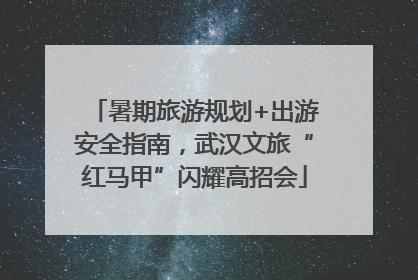 暑期旅游规划+出游安全指南，武汉文旅“红马甲”闪耀高招会
