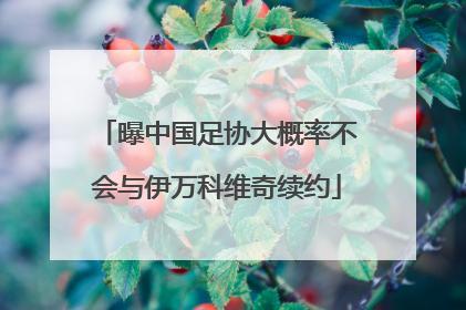 曝中国足协大概率不会与伊万科维奇续约