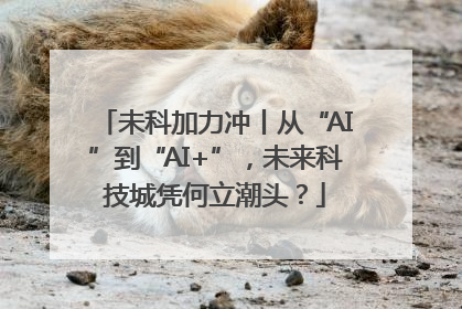 未科加力冲丨从“AI”到“AI+”，未来科技城凭何立潮头？