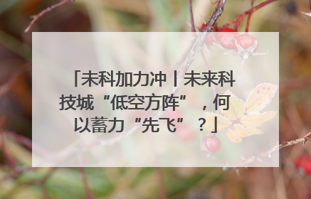 未科加力冲丨未来科技城“低空方阵”，何以蓄力“先飞”？