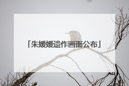朱媛媛遗作画面公布