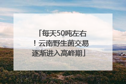 每天50吨左右！云南野生菌交易逐渐进入高峰期