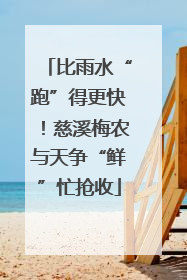 比雨水“跑”得更快！慈溪梅农与天争“鲜”忙抢收