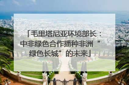 毛里塔尼亚环境部长：中非绿色合作播种非洲“绿色长城”的未来