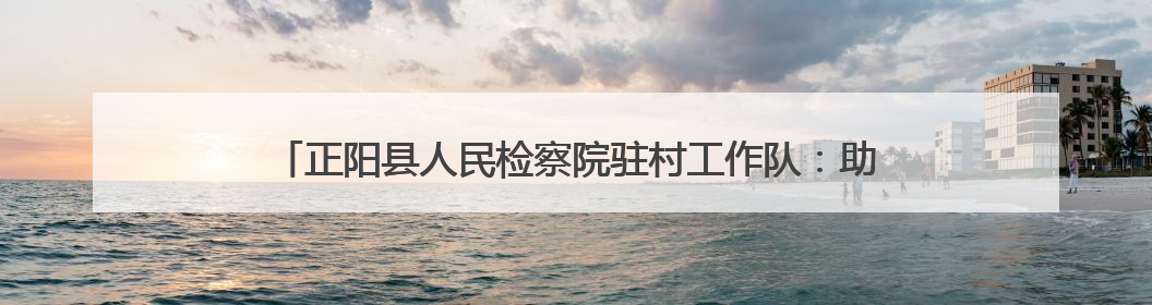 正阳县人民检察院驻村工作队：助力“三夏”生产 确保粮食安全