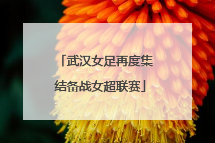 武汉女足再度集结备战女超联赛